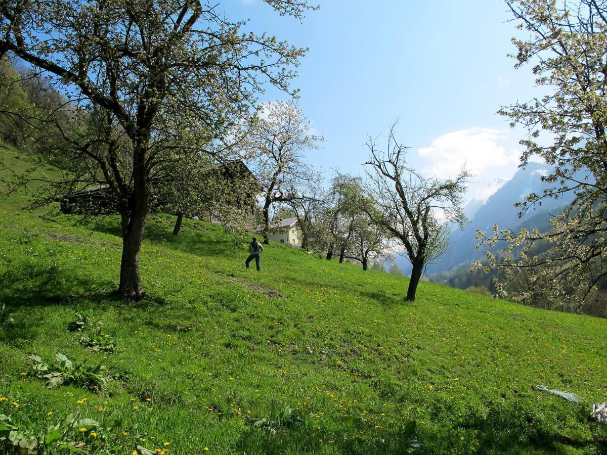 Achtalgut-2
